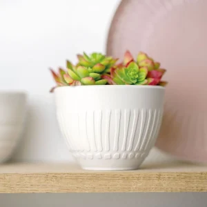 Becher Blossom It’s My Match Powder In Weiß|rosa 9