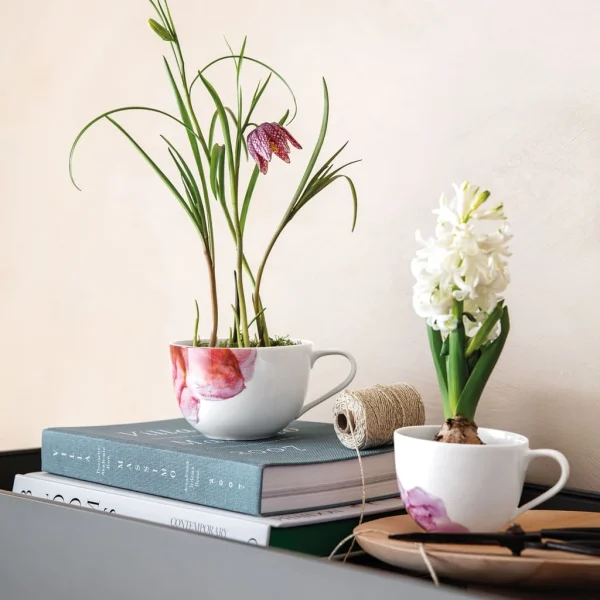 Villeroy & Boch Frühstücksobertasse Rose Garden In Rosa 4
